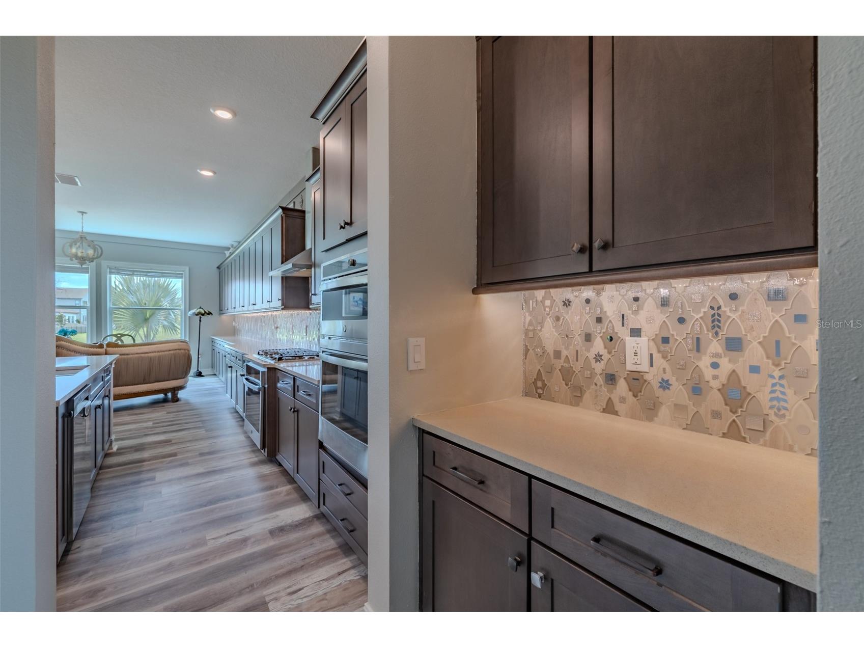 29527 Picana Lane Wesley Chapel FL 33543 TB8501901 image14