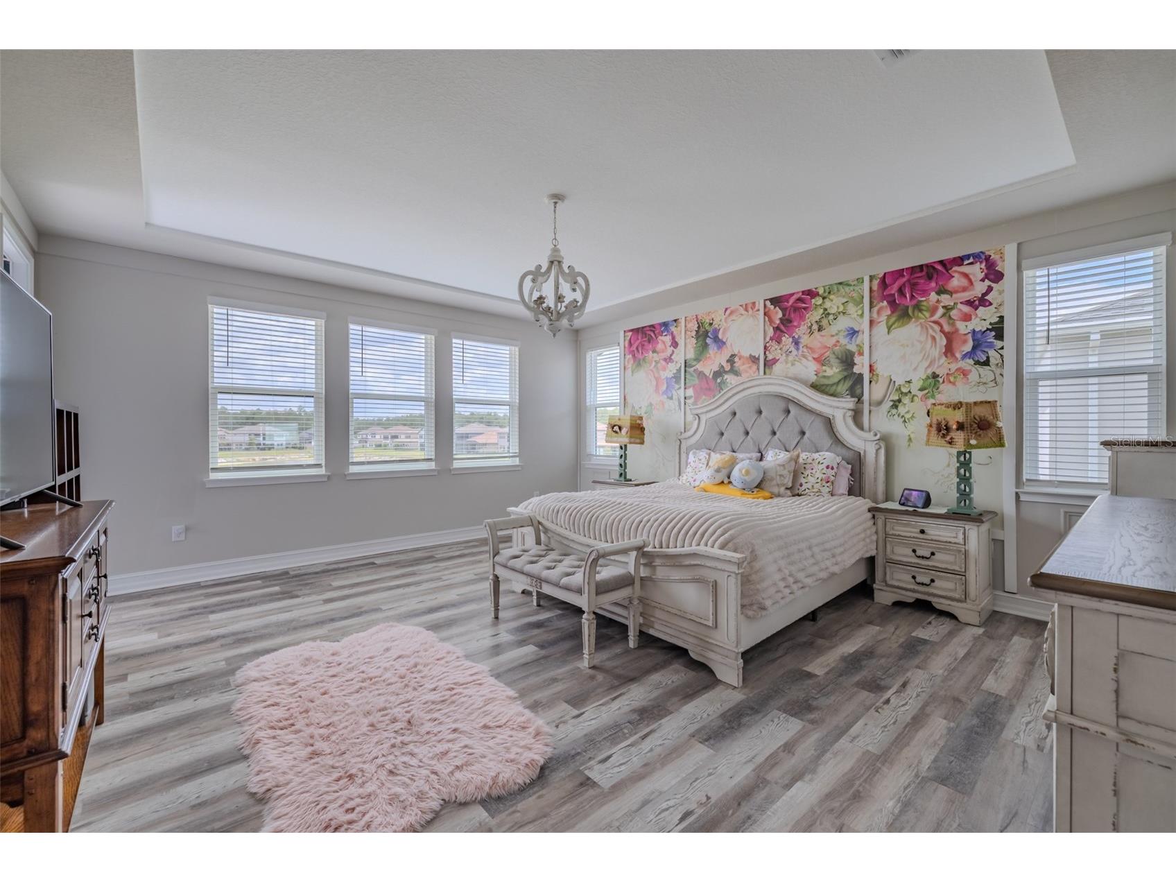 29527 Picana Lane Wesley Chapel FL 33543 TB8501901 image32