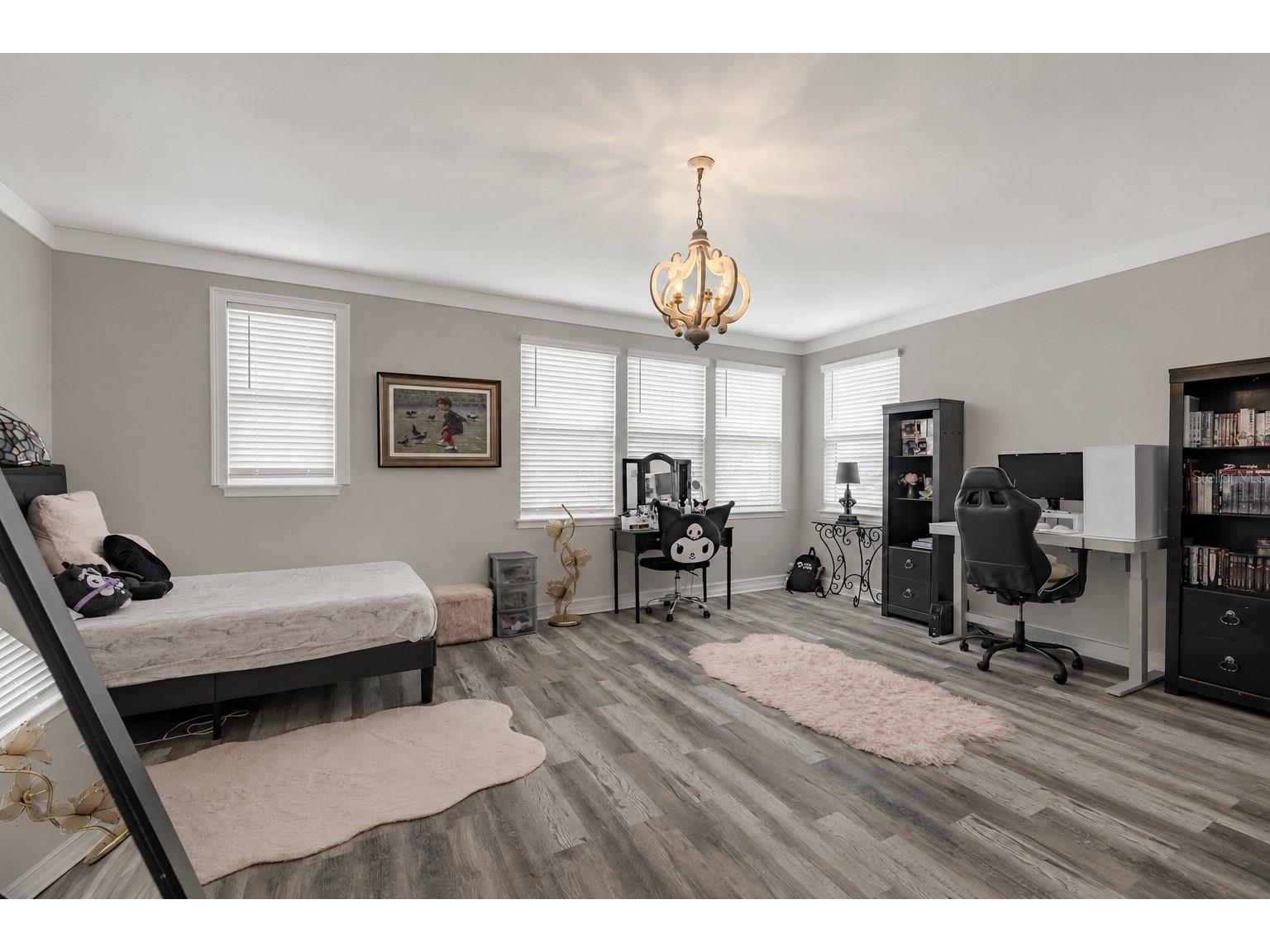 29527 Picana Lane Wesley Chapel FL 33543 TB8501901 image44
