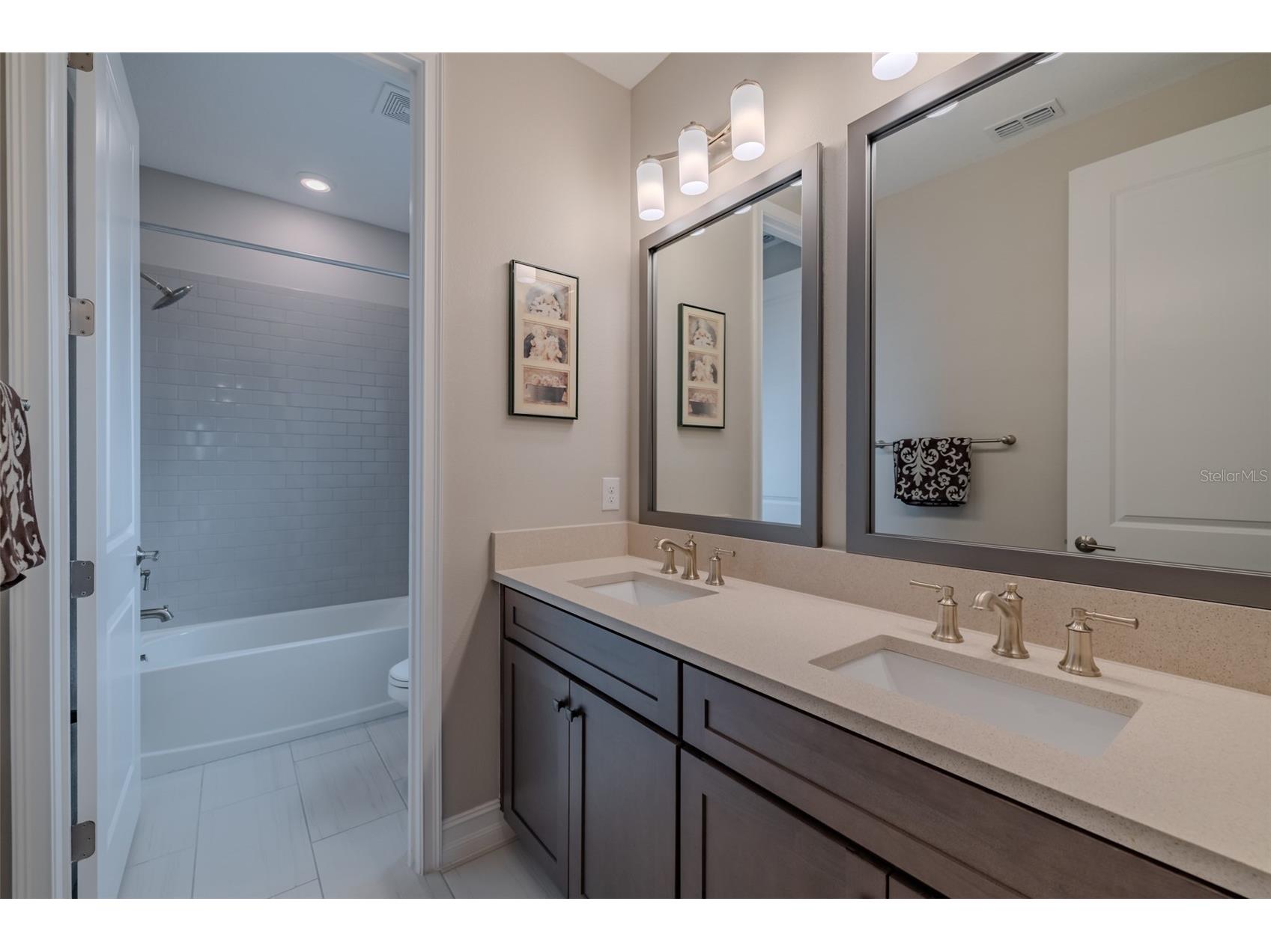 29527 Picana Lane Wesley Chapel FL 33543 TB8501901 image47