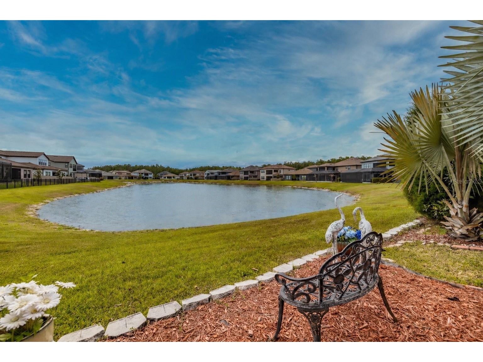 29527 Picana Lane Wesley Chapel FL 33543 TB8501901 image56