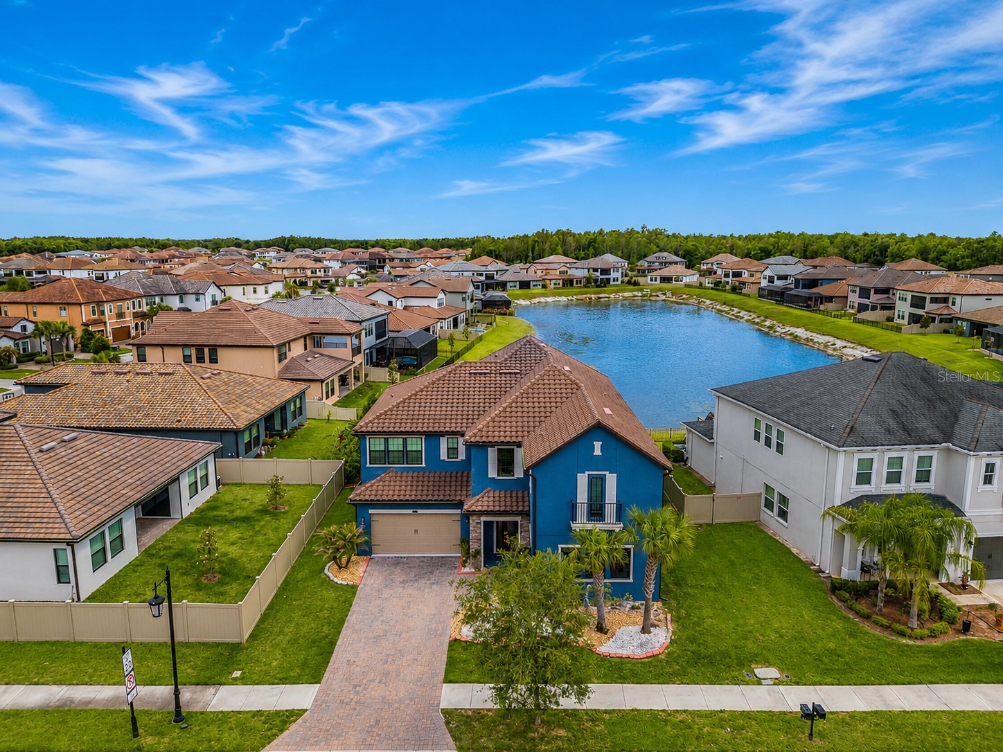 29527 Picana Lane Wesley Chapel FL 33543 TB8501901 image60
