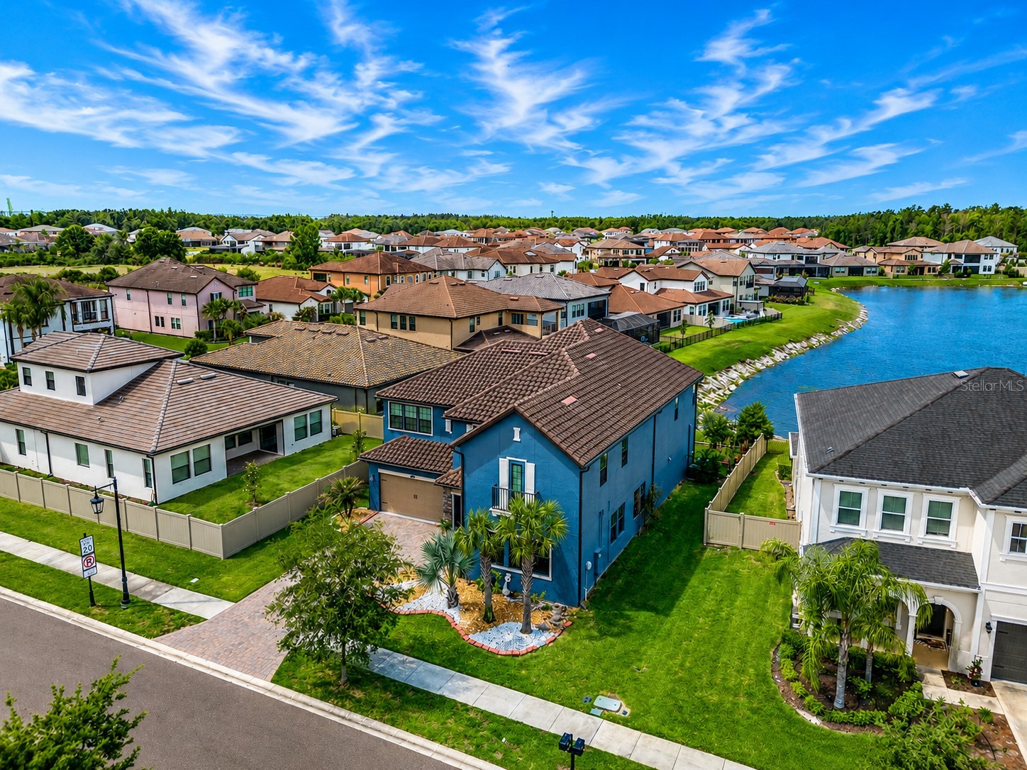 29527 Picana Lane Wesley Chapel FL 33543 TB8501901 image61