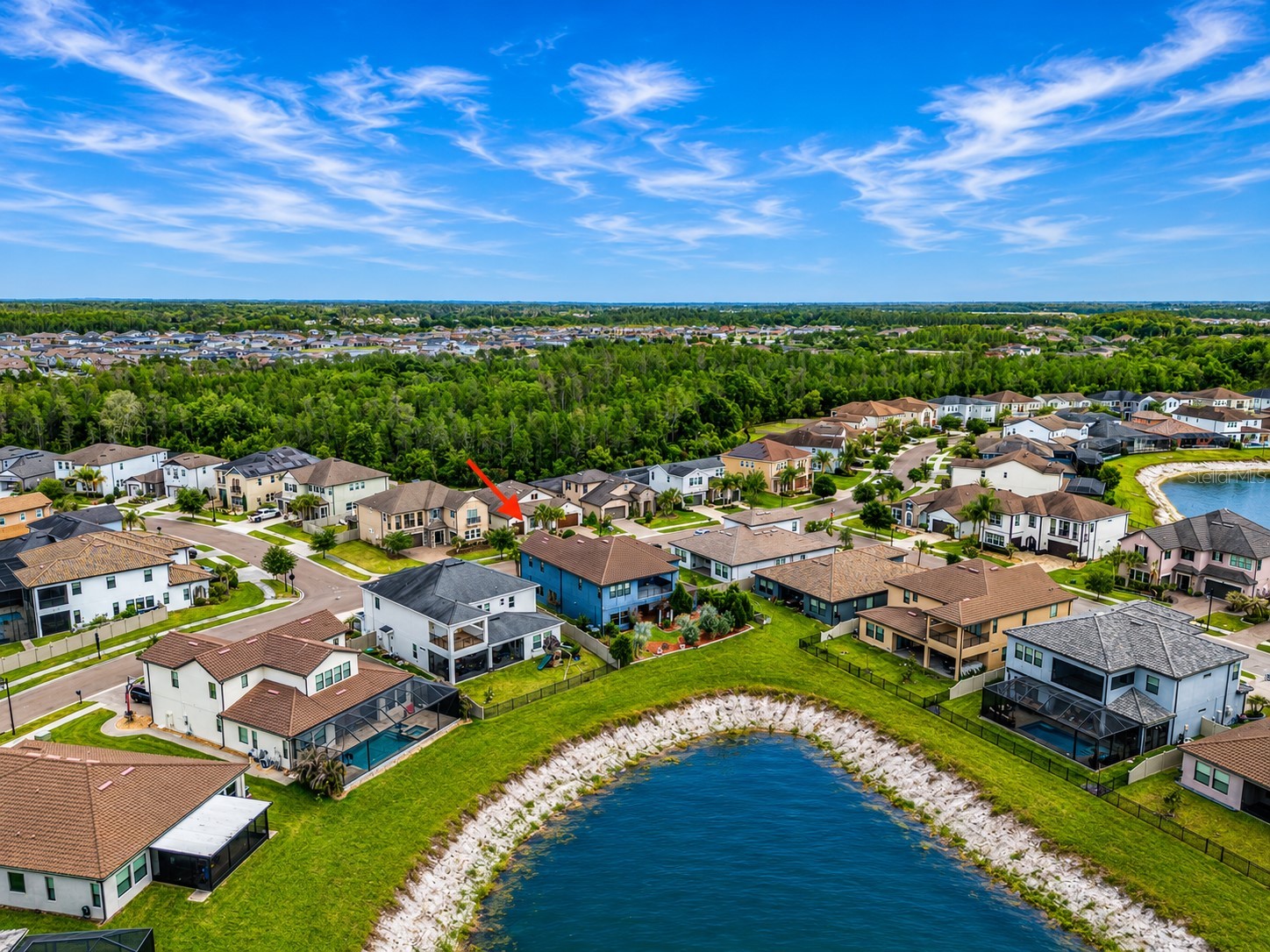 29527 Picana Lane Wesley Chapel FL 33543 TB8501901 image62