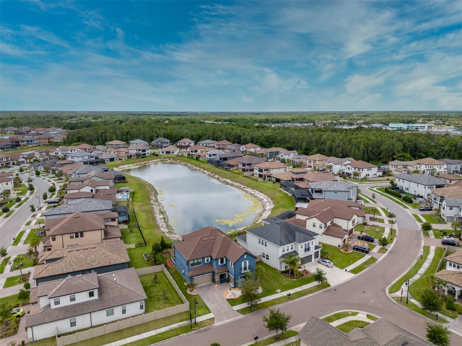 29527 Picana Lane Wesley Chapel FL 33543 TB8501901 image68