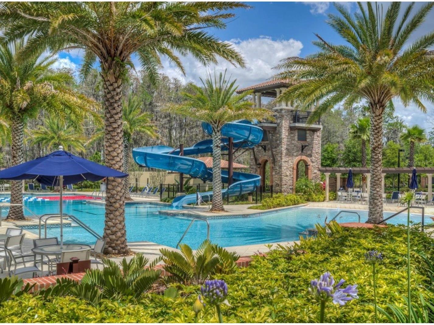 29527 Picana Lane Wesley Chapel FL 33543 TB8501901 image74