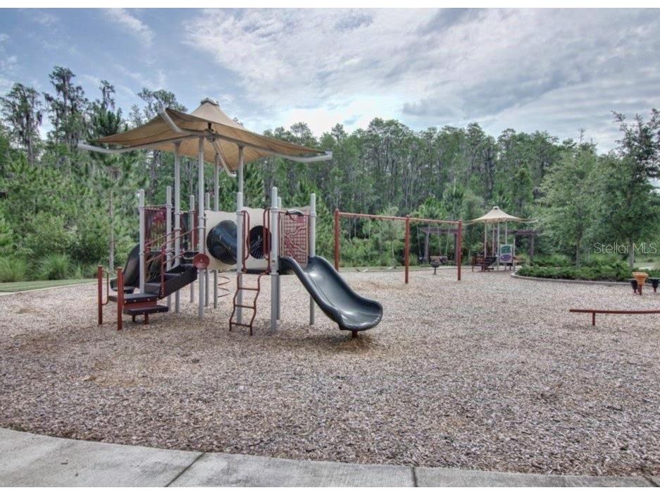 29527 Picana Lane Wesley Chapel FL 33543 TB8501901 image84