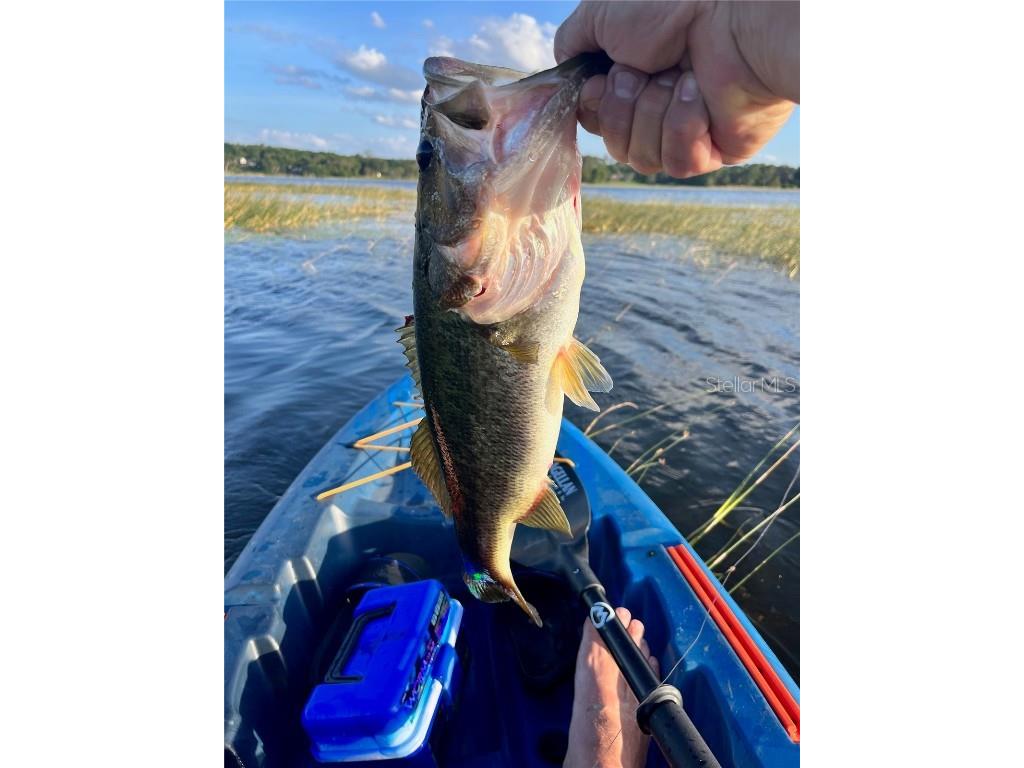 2953 NE 104th Avenue Silver Springs FL 34488 O6334736 image48