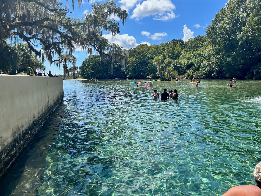 2953 NE 104th Avenue Silver Springs FL 34488 O6334736 image50