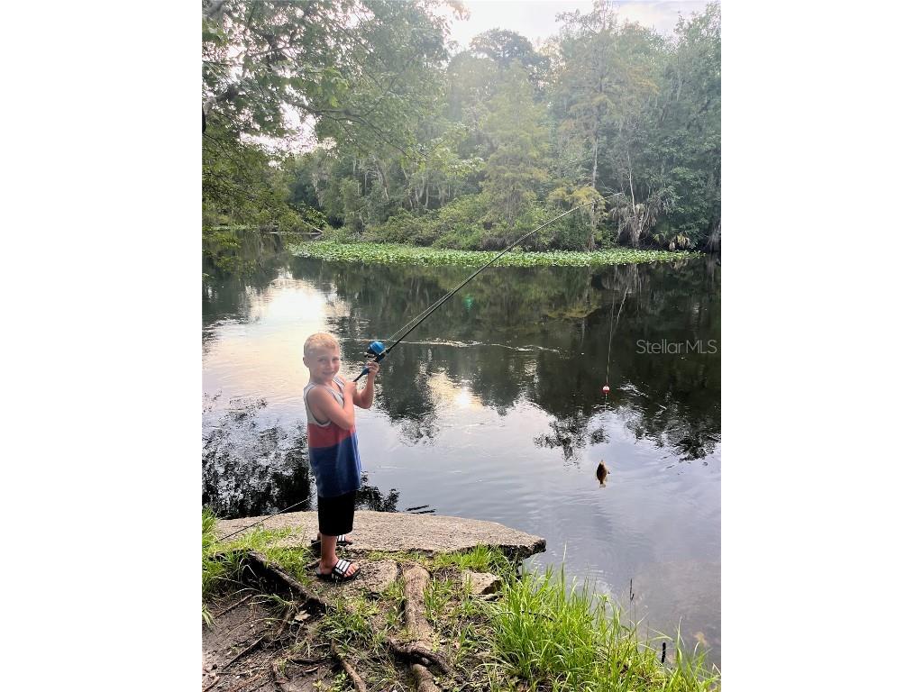 2953 NE 104th Avenue Silver Springs FL 34488 O6334736 image52