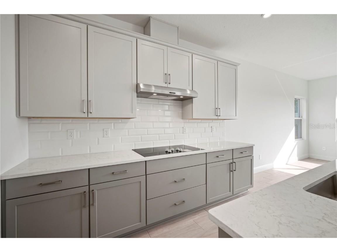 2953 Stewart Creek Circle Plant City FL 33565 TB8421134 image4