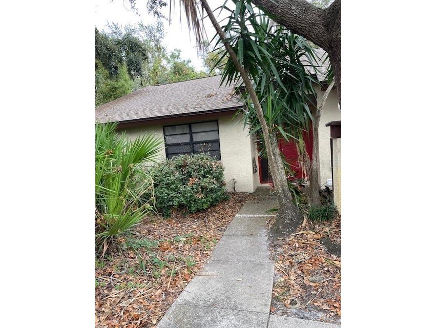 2953 Yucca Court Palm Harbor FL 34684 TB8319501 image1