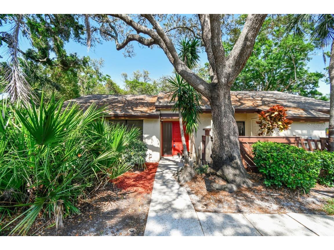 2953 Yucca Court Palm Harbor FL 34684 TB8381693 image1