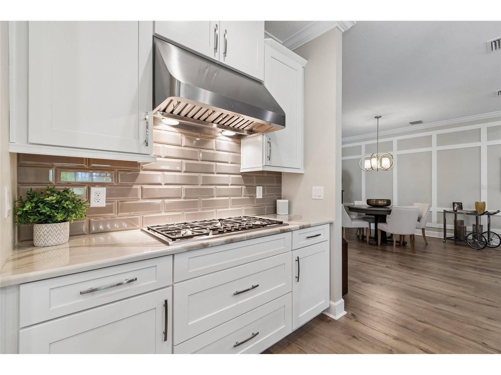 29534 Ginnetto Drive Wesley Chapel FL 33543 TB8524564 image13