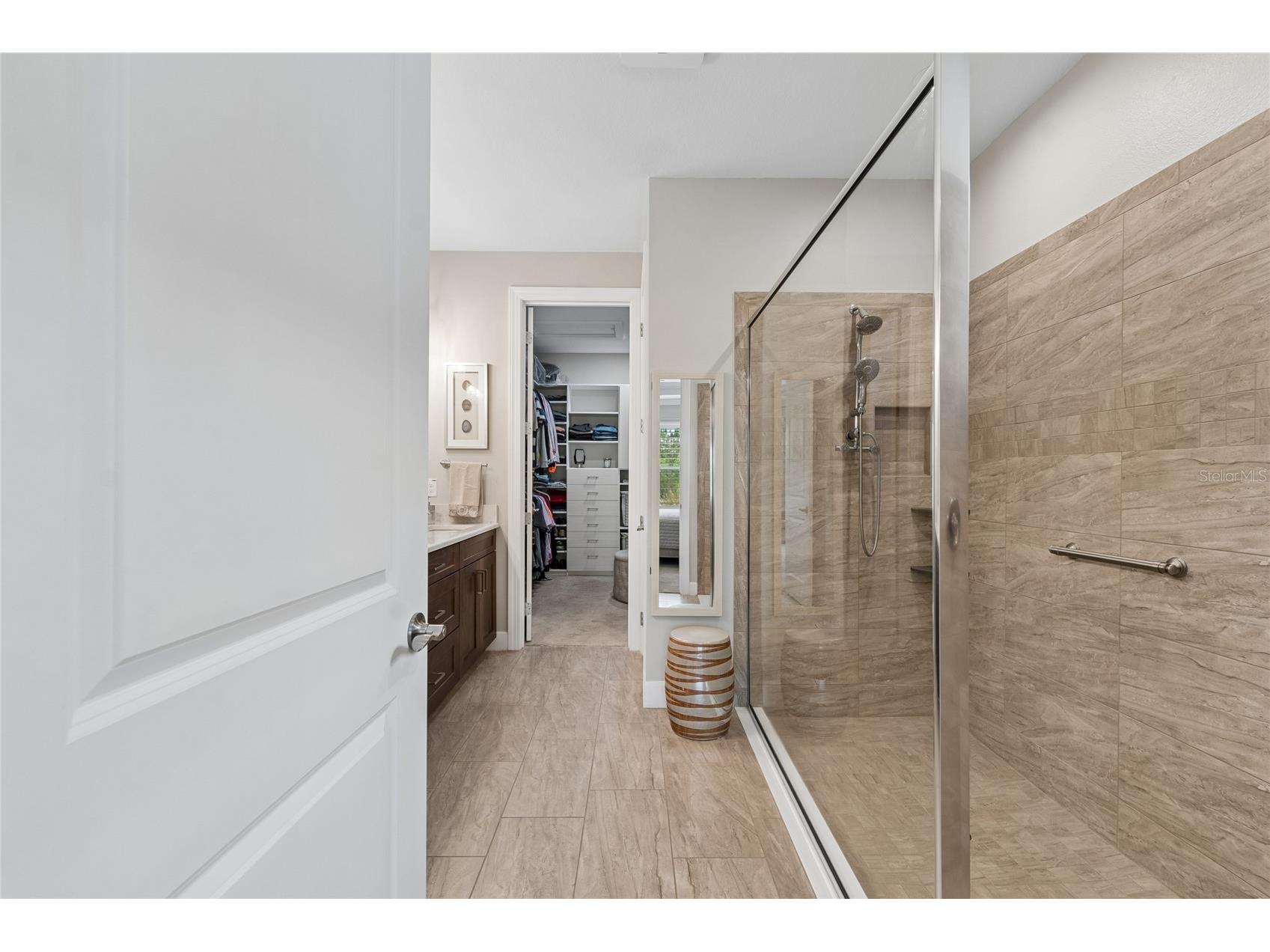 29534 Ginnetto Drive Wesley Chapel FL 33543 TB8524564 image21