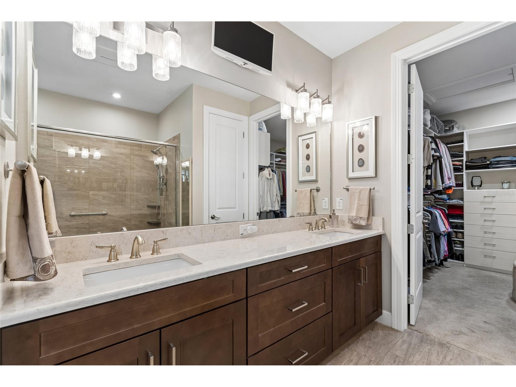 29534 Ginnetto Drive Wesley Chapel FL 33543 TB8524564 image24