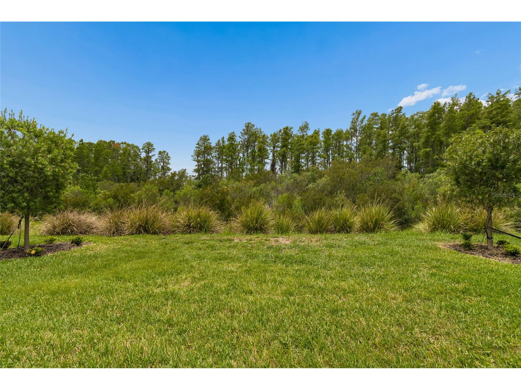 29534 Ginnetto Drive Wesley Chapel FL 33543 TB8524564 image4
