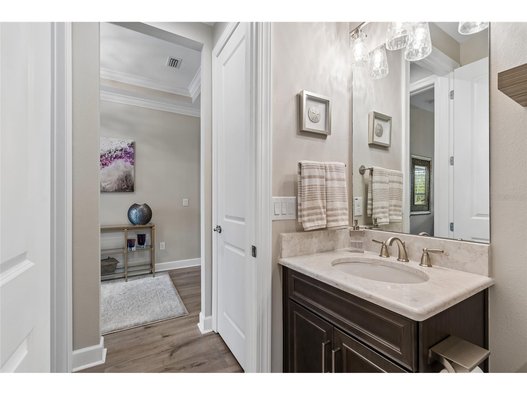 29534 Ginnetto Drive Wesley Chapel FL 33543 TB8524564 image46