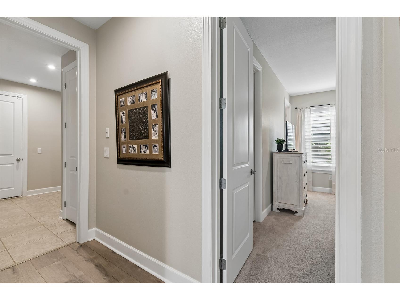 29534 Ginnetto Drive Wesley Chapel FL 33543 TB8524564 image62