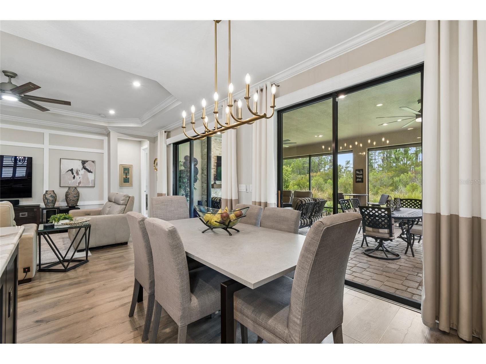29534 Ginnetto Drive Wesley Chapel FL 33543 TB8524564 image68