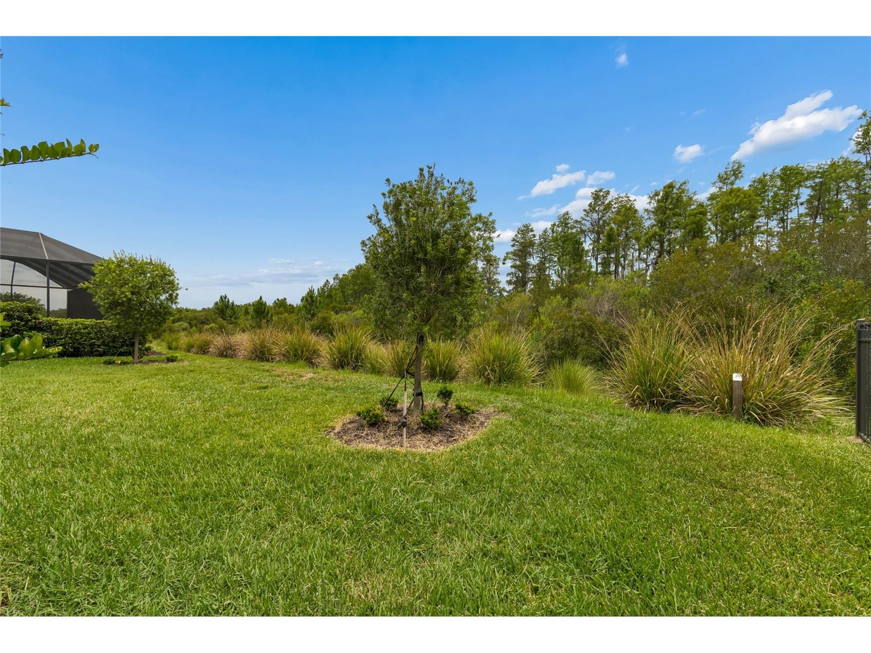 29534 Ginnetto Drive Wesley Chapel FL 33543 TB8524564 image99