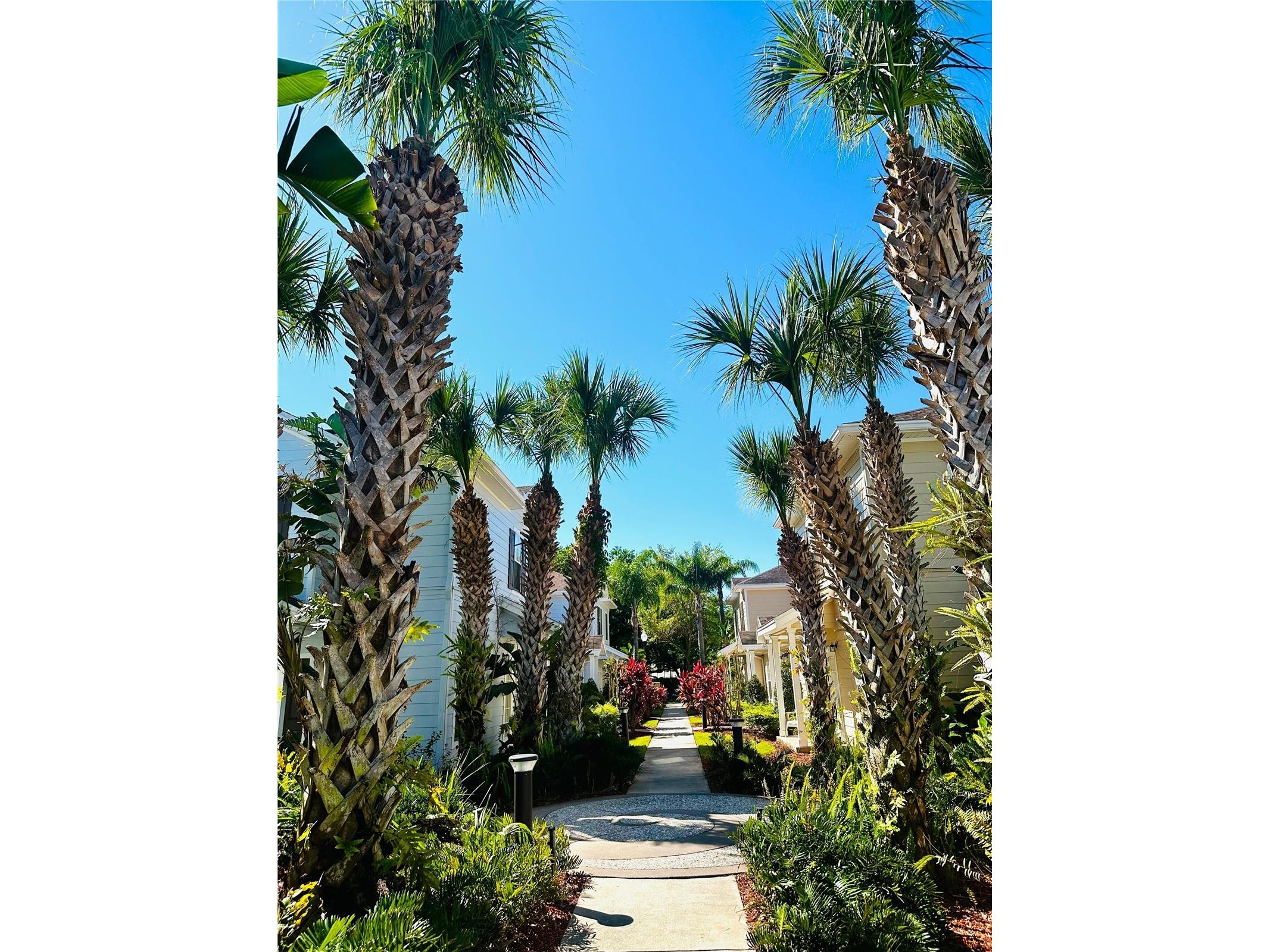 2954 Lucayan Harbour Circle #106 Kissimmee FL 34746 O6350331 image3