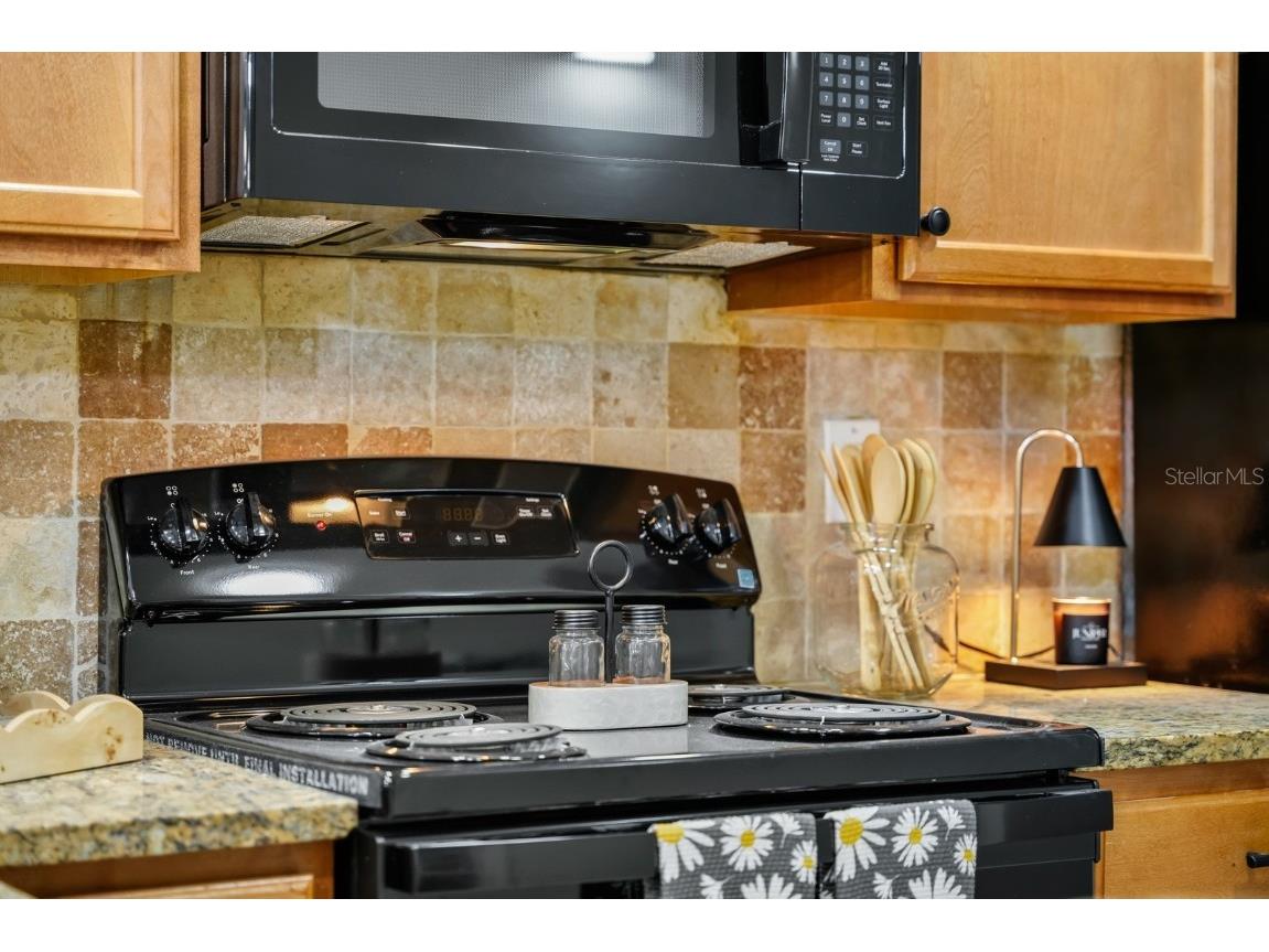 2954 Sadina Street #104 Kissimmee FL 34746 O6347345 image24