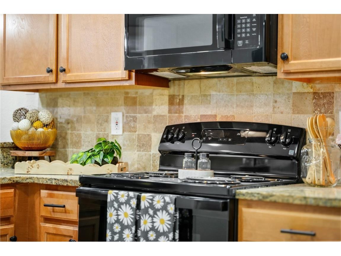 2954 Sadina Street #104 Kissimmee FL 34746 O6347345 image25