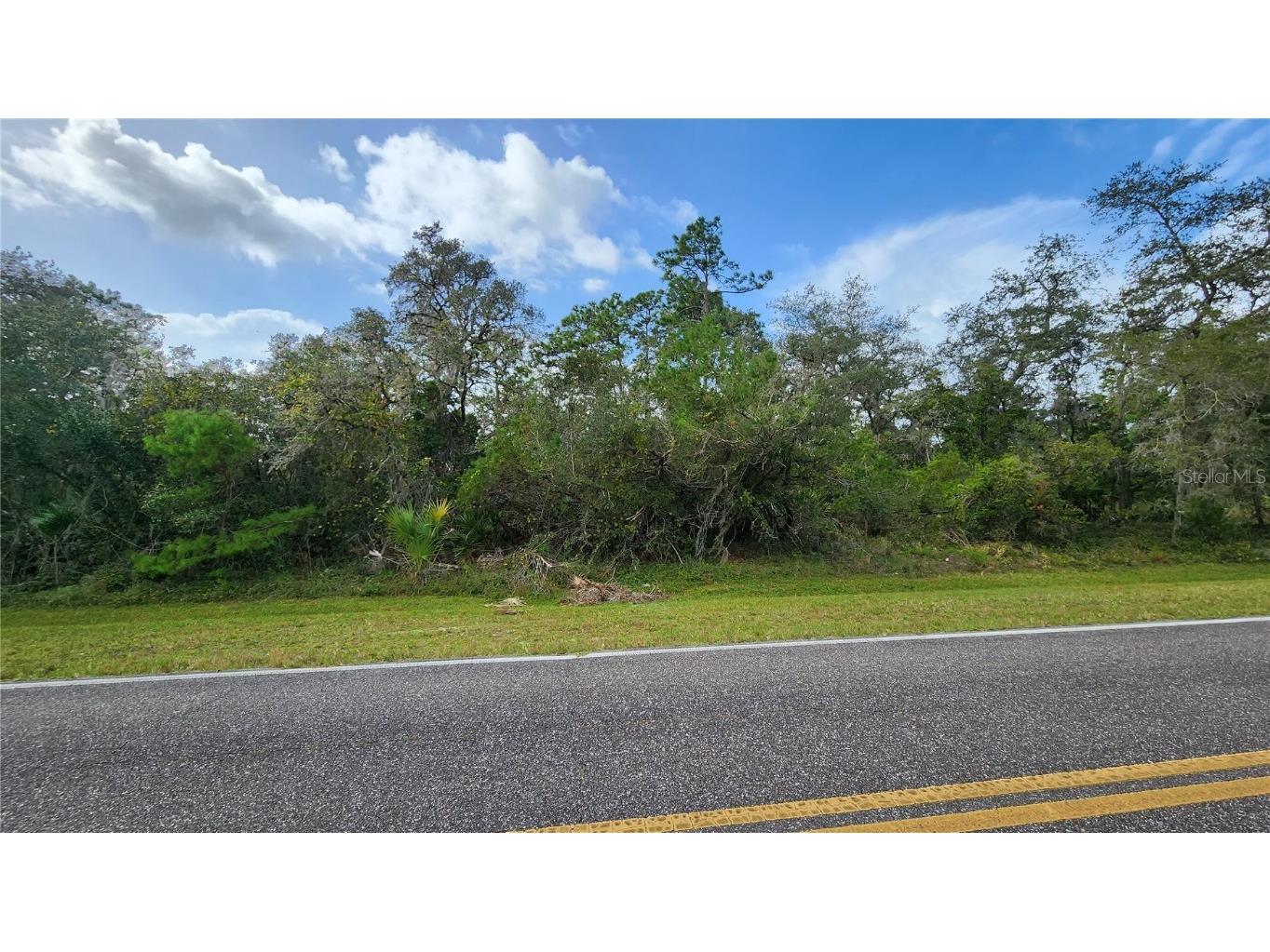 2954 Sled Road Christmas FL 32709 O6071264 image1