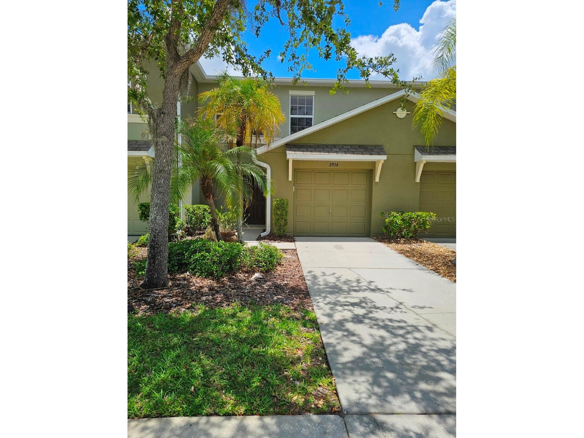 2954 Willowleaf Lane Wesley Chapel FL 33544 TB8470700 image1