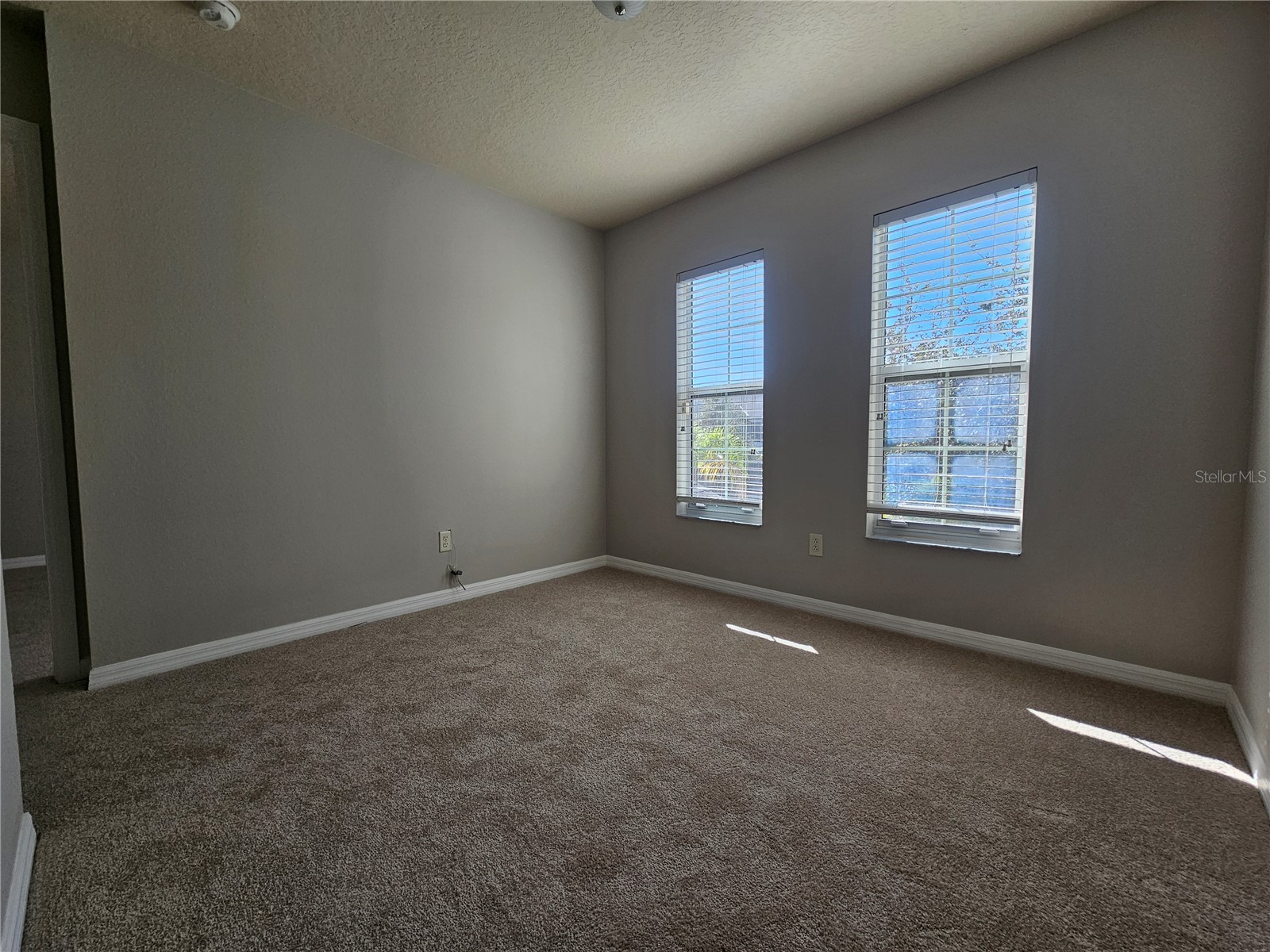 2954 Willowleaf Lane Wesley Chapel FL 33544 TB8470700 image10