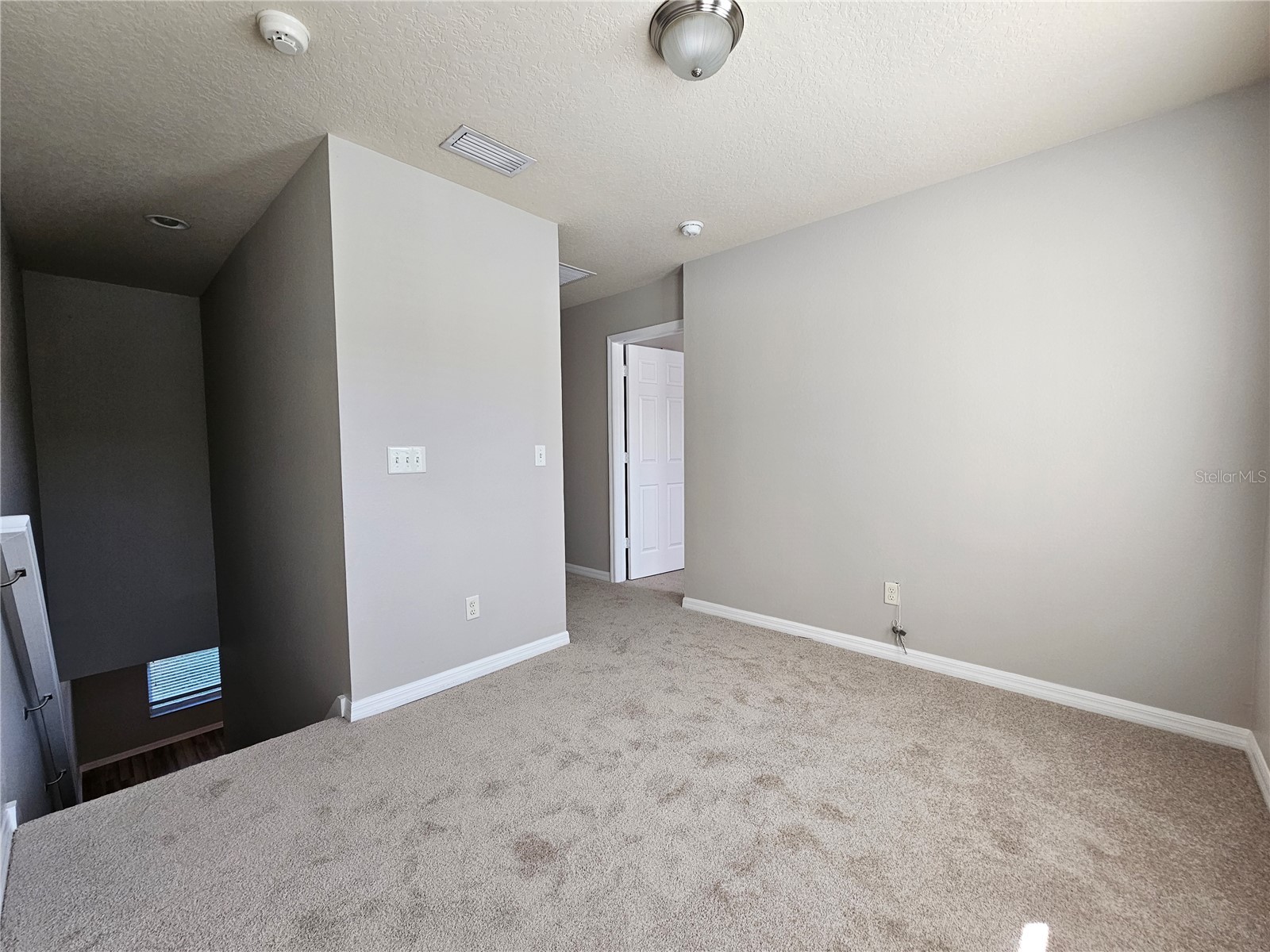 2954 Willowleaf Lane Wesley Chapel FL 33544 TB8470700 image11
