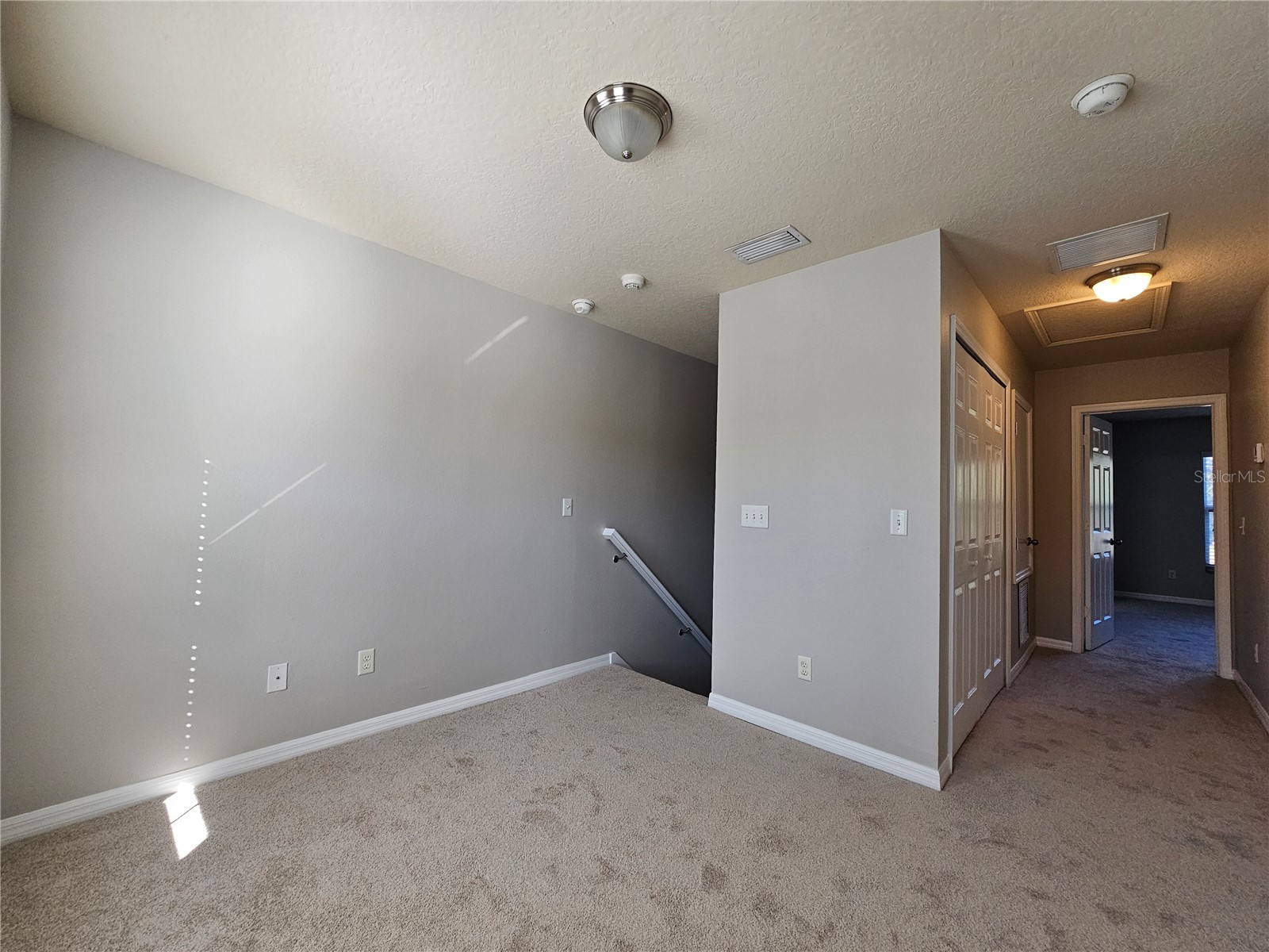 2954 Willowleaf Lane Wesley Chapel FL 33544 TB8470700 image12
