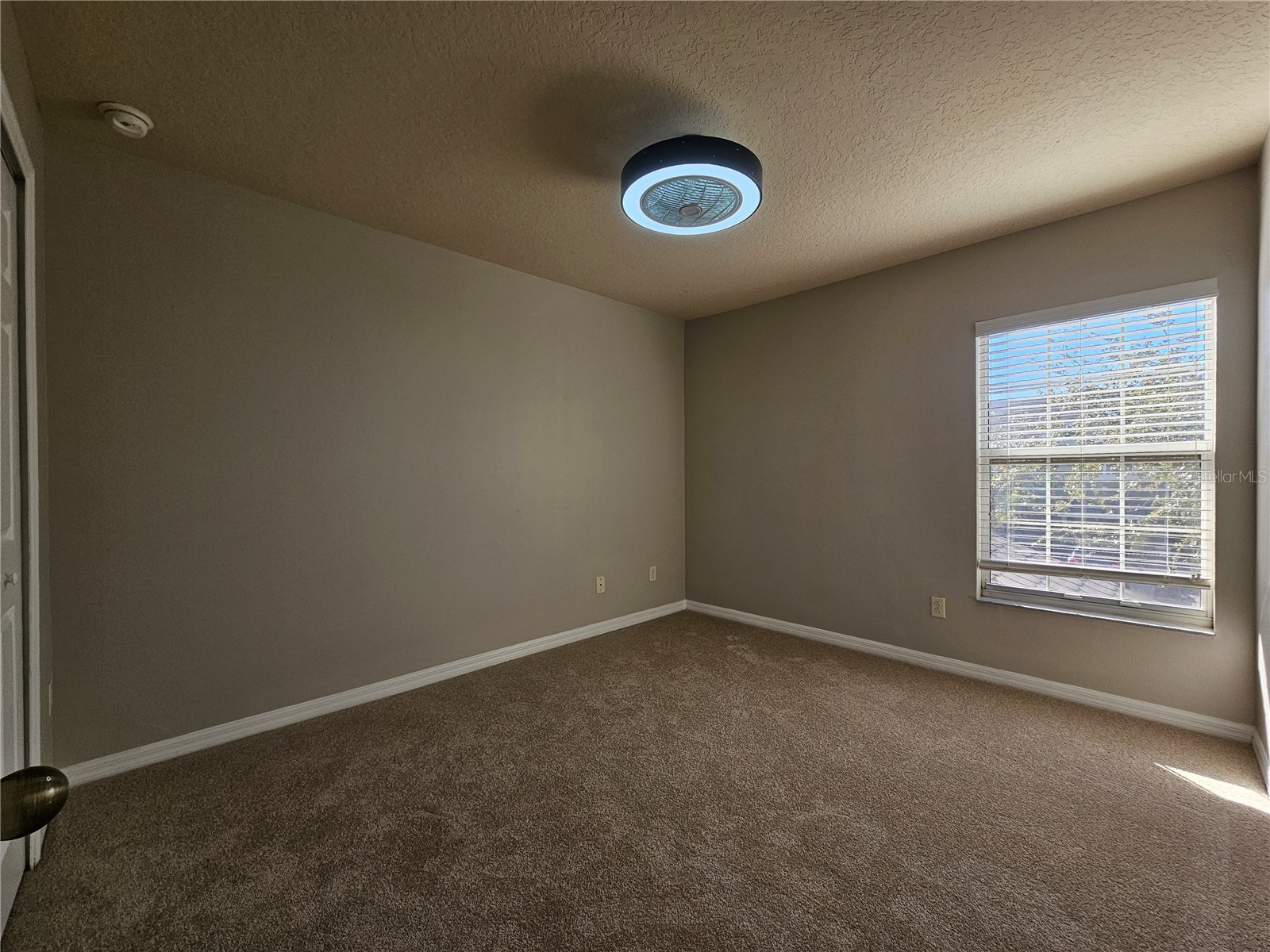 2954 Willowleaf Lane Wesley Chapel FL 33544 TB8470700 image13