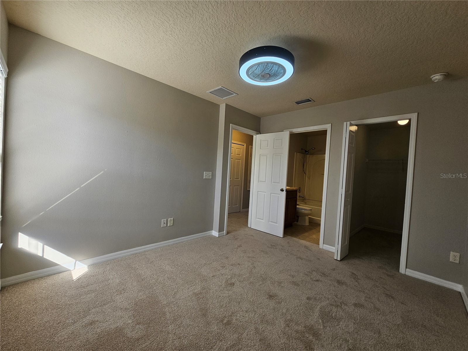 2954 Willowleaf Lane Wesley Chapel FL 33544 TB8470700 image14