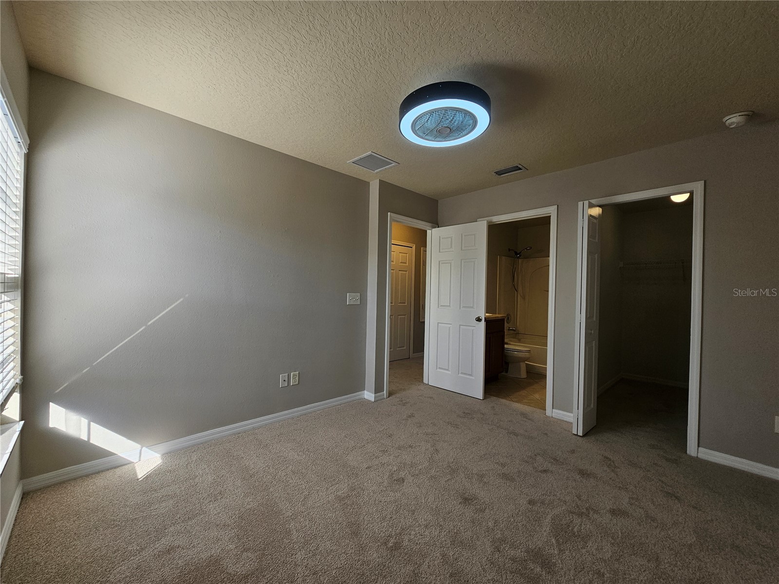 2954 Willowleaf Lane Wesley Chapel FL 33544 TB8470700 image15