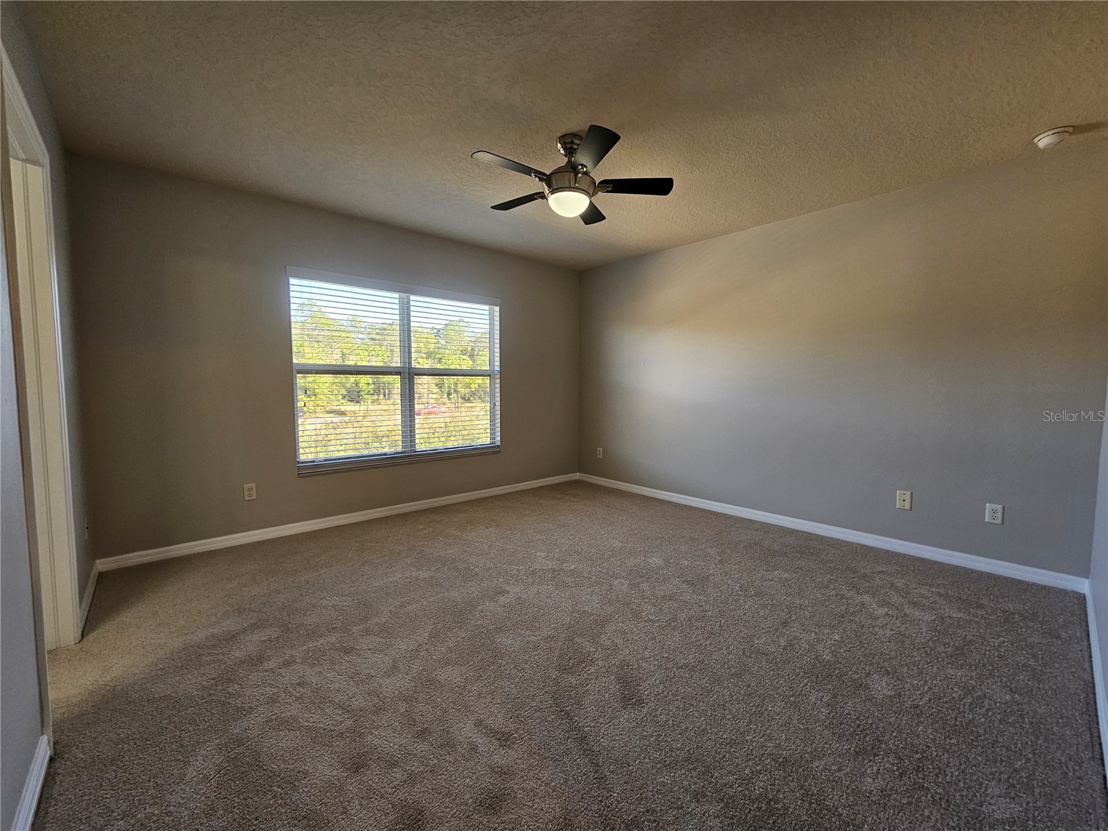 2954 Willowleaf Lane Wesley Chapel FL 33544 TB8470700 image18