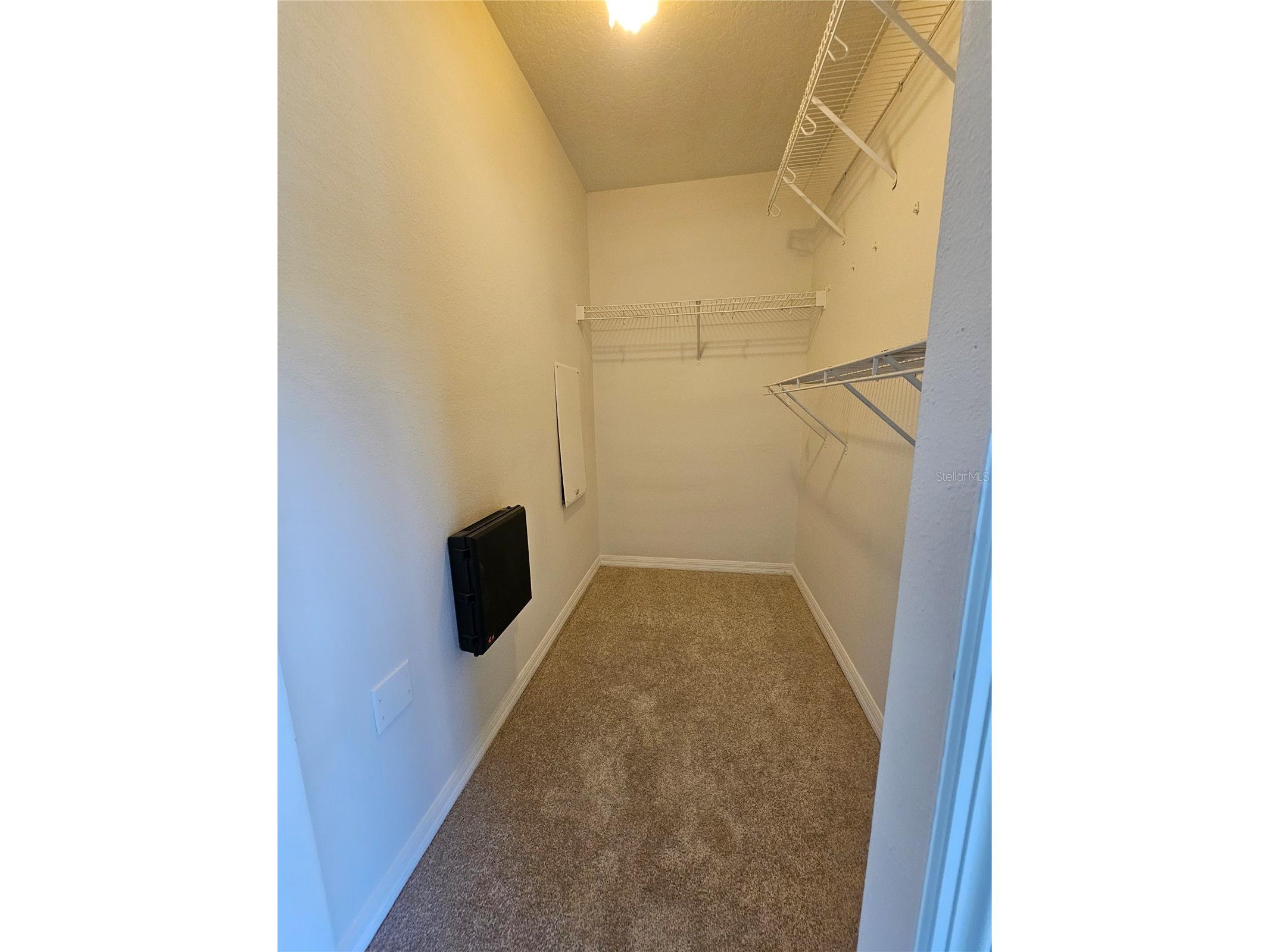 2954 Willowleaf Lane Wesley Chapel FL 33544 TB8470700 image19