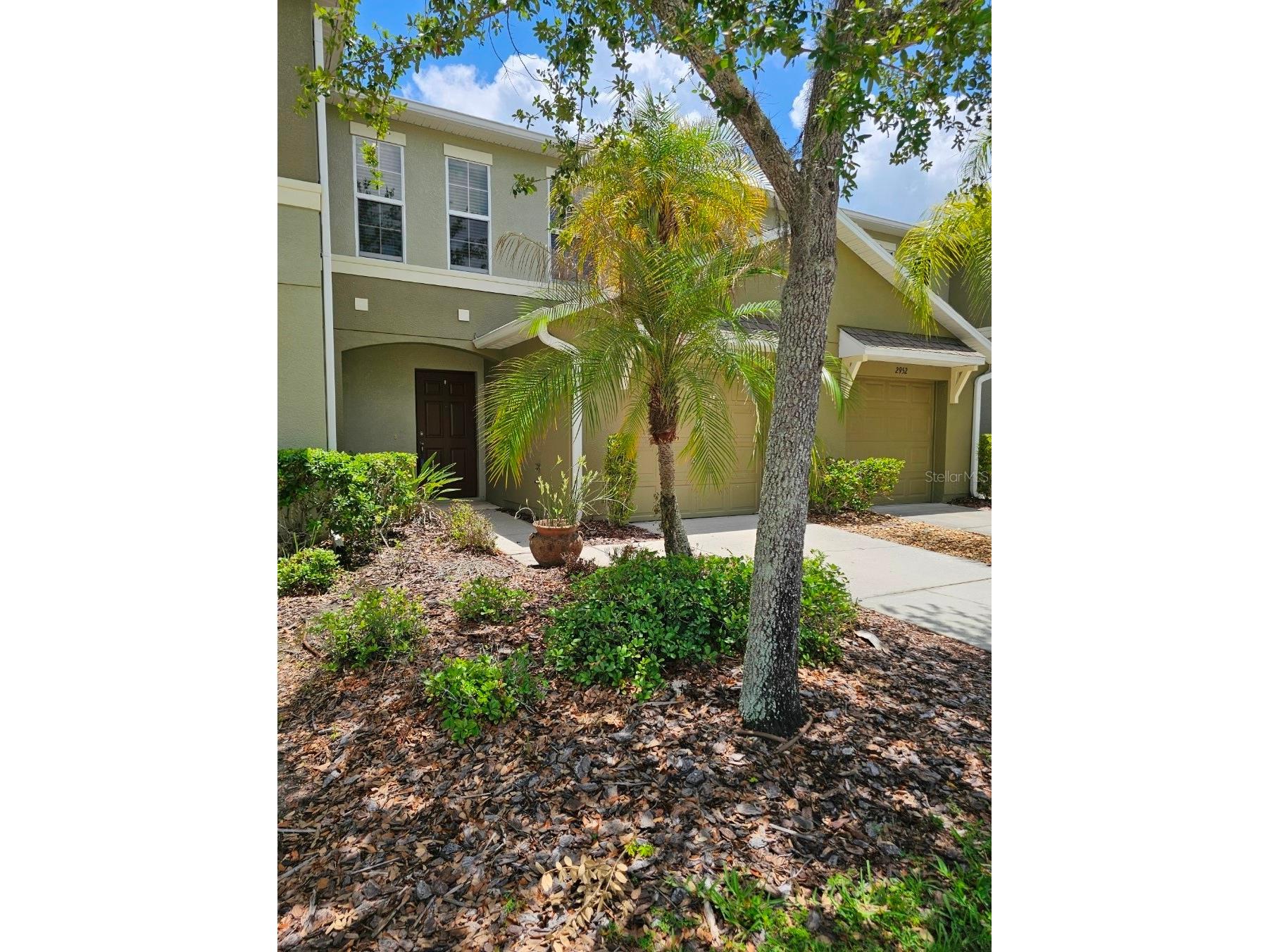 2954 Willowleaf Lane Wesley Chapel FL 33544 TB8470700 image3