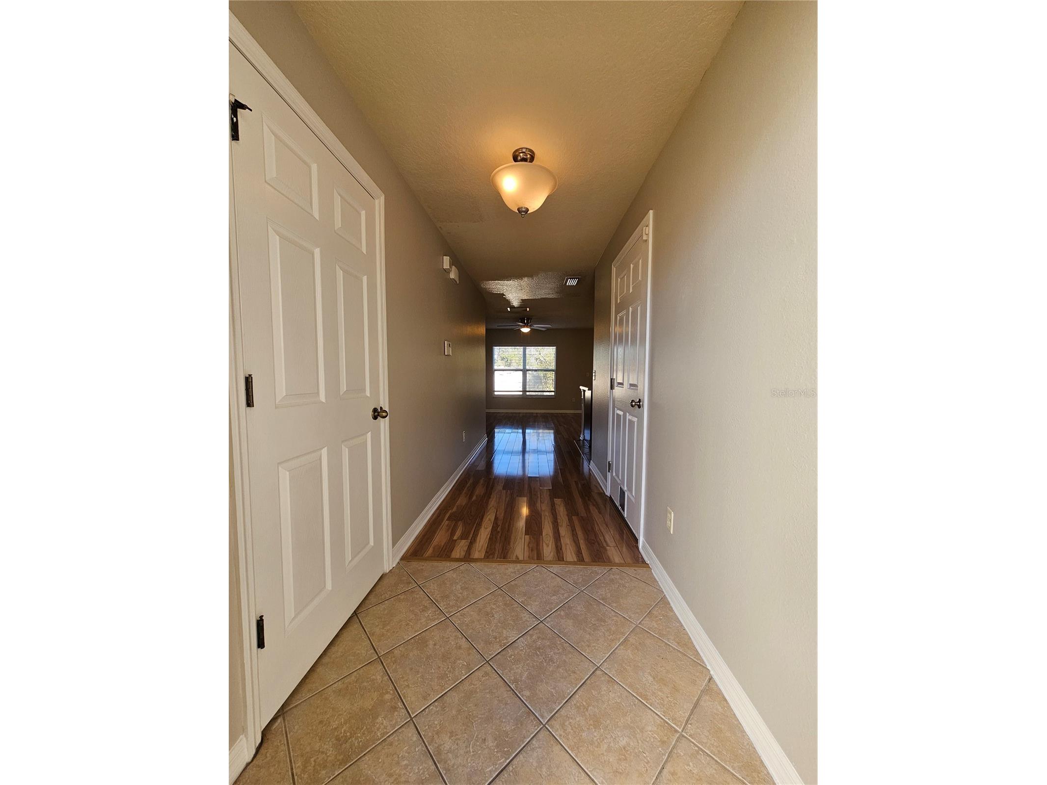 2954 Willowleaf Lane Wesley Chapel FL 33544 TB8470700 image4