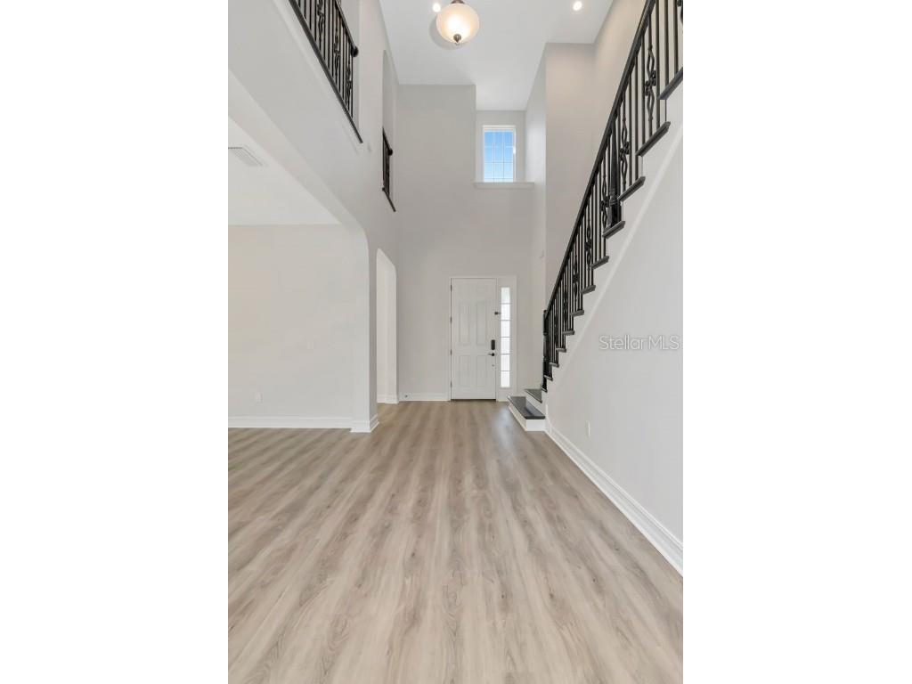 29542 Picana Lane Wesley Chapel FL 33543 TB8449959 image10