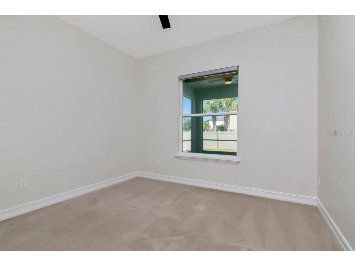 29542 Picana Lane Wesley Chapel FL 33543 TB8449959 image28