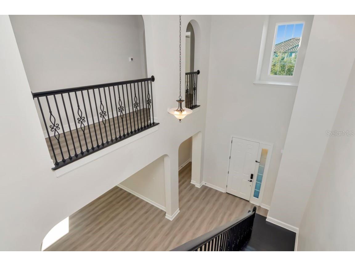 29542 Picana Lane Wesley Chapel FL 33543 TB8449959 image31