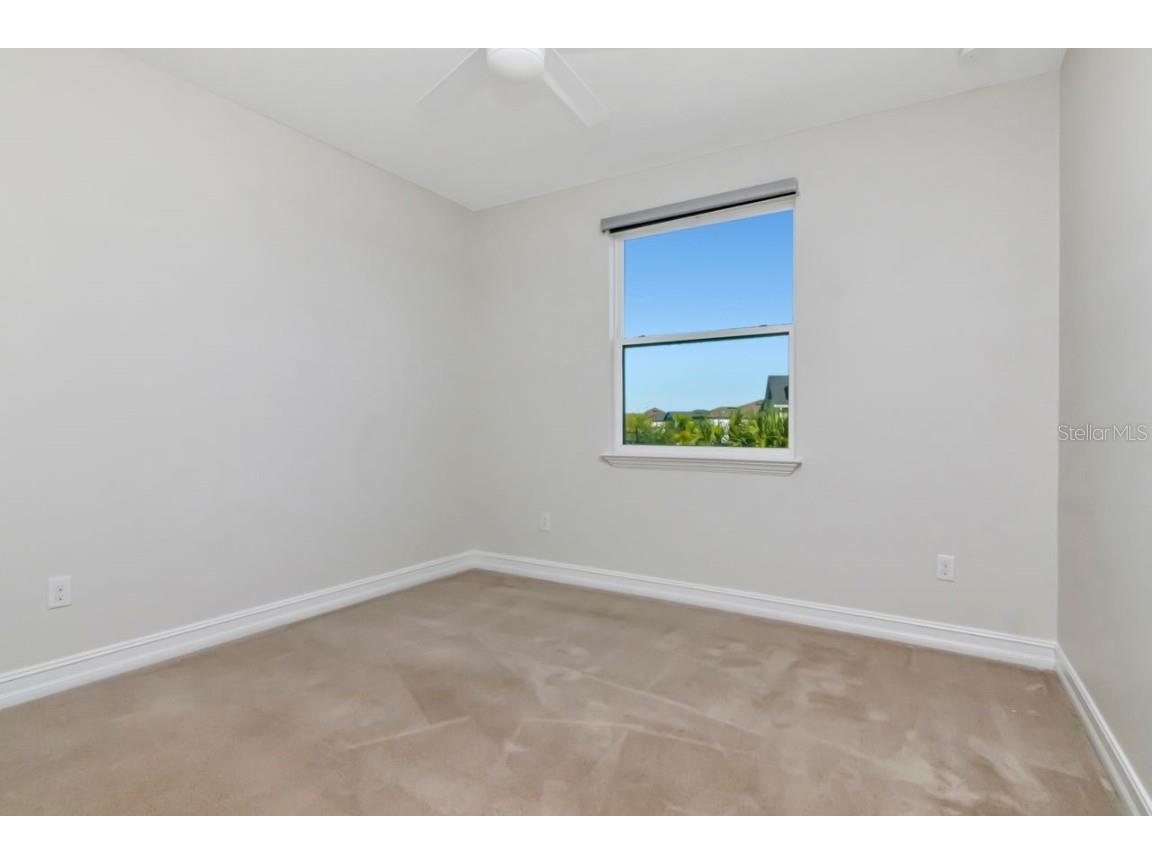 29542 Picana Lane Wesley Chapel FL 33543 TB8449959 image39