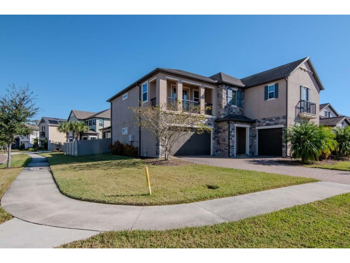 29542 Picana Lane Wesley Chapel FL 33543 TB8449959 image4