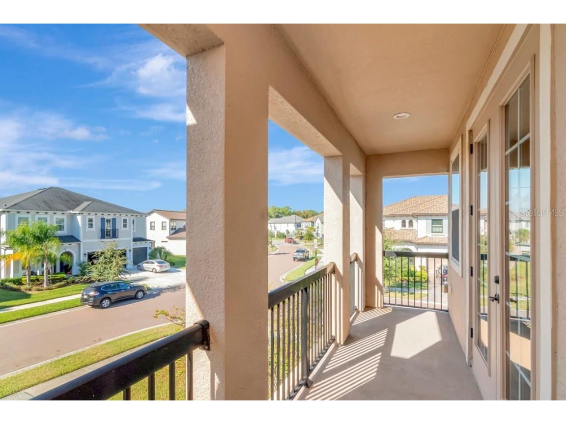 29542 Picana Lane Wesley Chapel FL 33543 TB8449959 image46