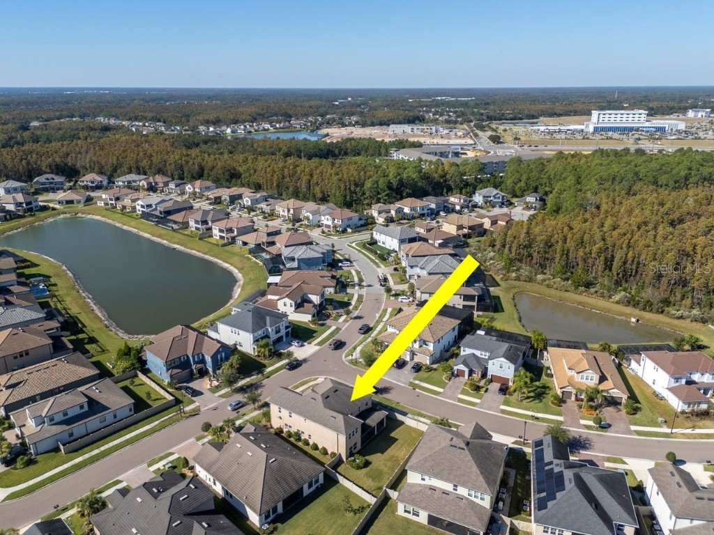 29542 Picana Lane Wesley Chapel FL 33543 TB8449959 image54