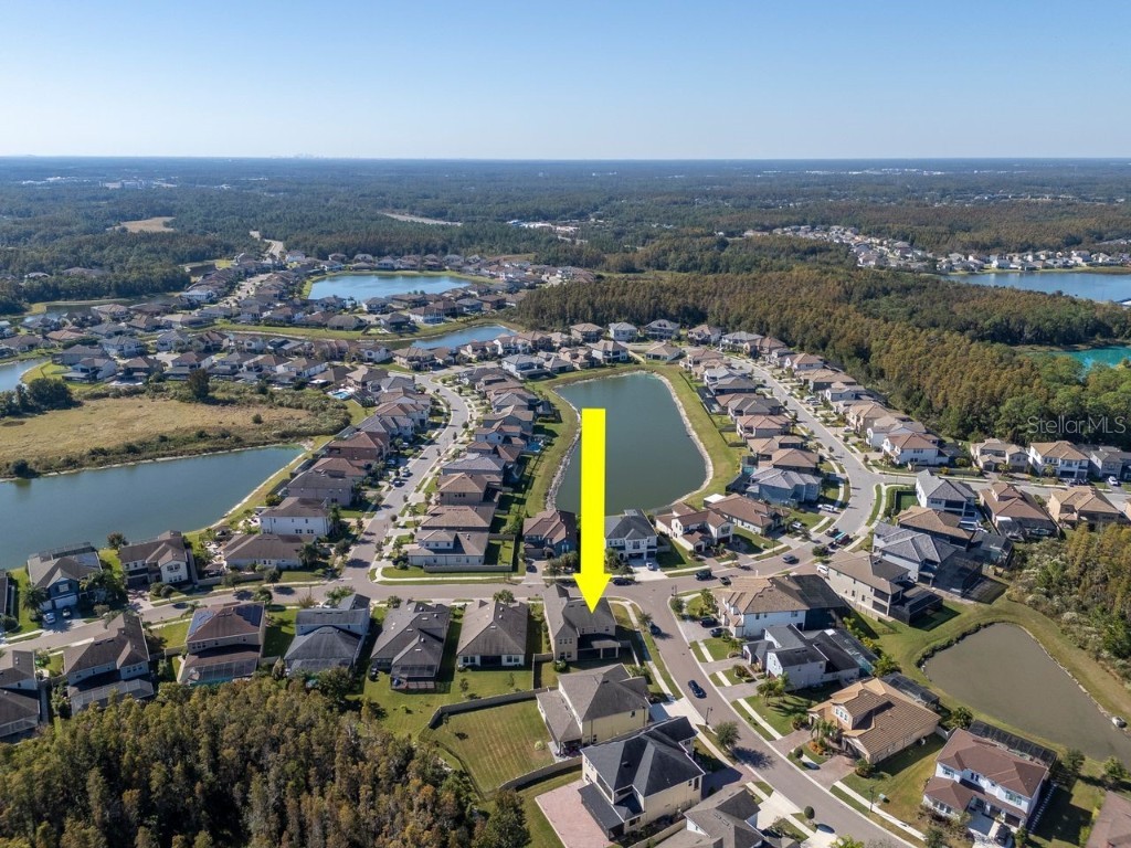 29542 Picana Lane Wesley Chapel FL 33543 TB8449959 image55