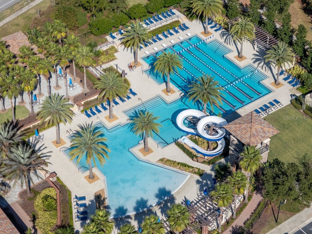 29542 Picana Lane Wesley Chapel FL 33543 TB8449959 image57