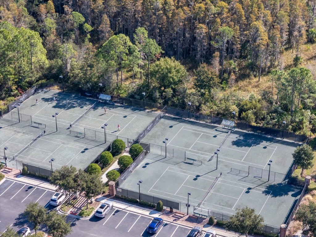 29542 Picana Lane Wesley Chapel FL 33543 TB8449959 image58